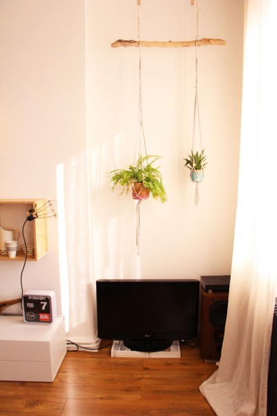 Mes Plantes Suspendues Blueberry Home