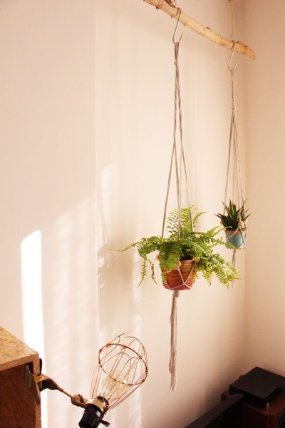 Mes Plantes Suspendues Blueberry Home